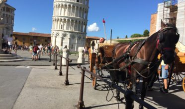 Piazza dei miracoli in carrozza