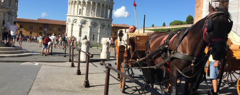 Piazza dei miracoli in carrozza