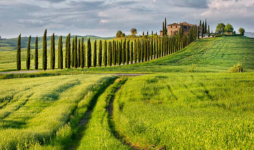 Viaggio in TOSCANA