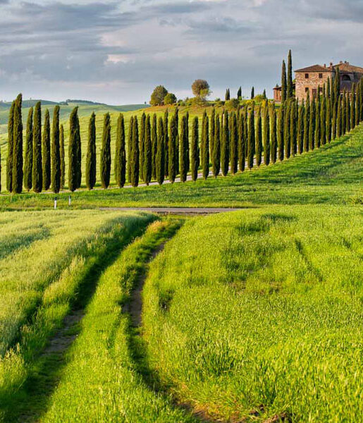 Viaggio in TOSCANA